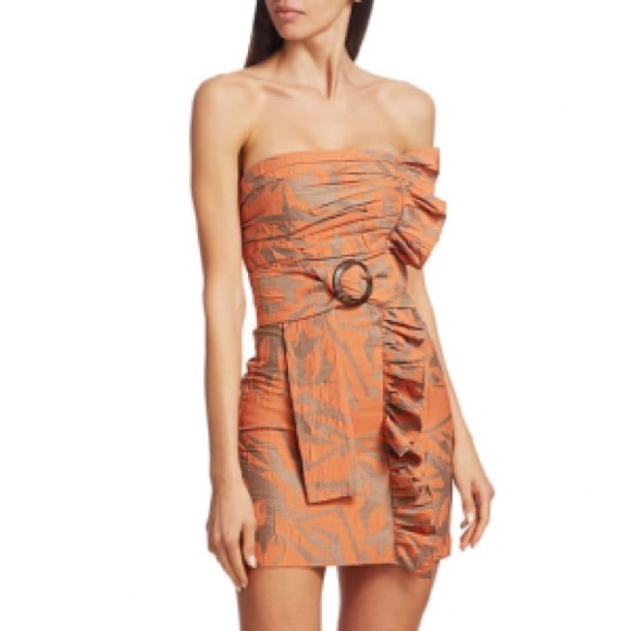 NWT Alexis Nokoma Strapless Cotton Mini Dress XS - Picture 2 of 16